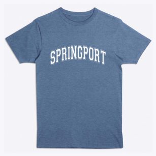 Springport New York Varsity Premium T-Shirt