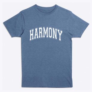 Harmony Minnesota Varsity Premium T-Shirt