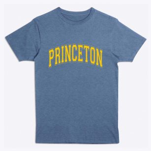 Princeton Iowa Varsity Premium T-Shirt