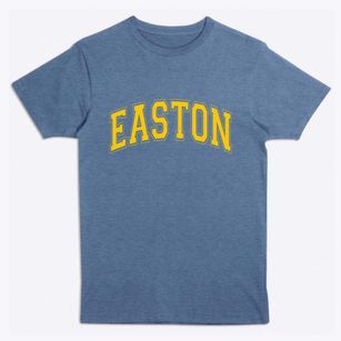 Easton New Hampshire Varsity Premium T-Shirt