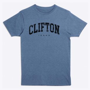 Clifton Idaho Urban Vibe Premium T-Shirt