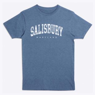 Salisbury Maryland Urban Vibe Premium T-Shirt