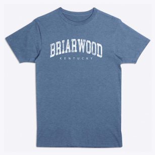 Briarwood Kentucky Urban Vibe Premium T-Shirt