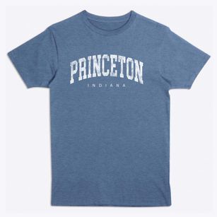Princeton Indiana Urban Vibe Premium T-Shirt