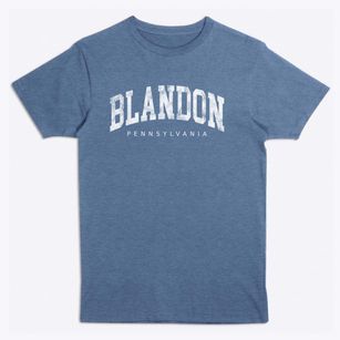 Blandon Pennsylvania Urban Vibe Premium T-Shirt