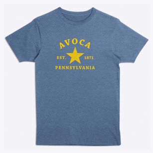 Avoca Pennsylvania Star Premium T-Shirt
