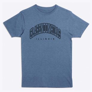 Clarendon Hills Illinois Inline Premium T-Shirt