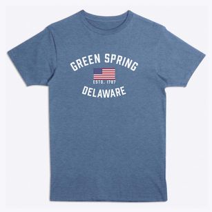 Green Spring Delaware Patriot Premium T-Shirt