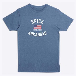 Brice Arkansas Patriot Premium T-Shirt