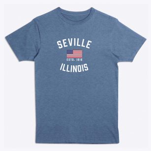 Seville Illinois Patriot Premium T-Shirt