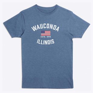 Wauconda Illinois Patriot Premium T-Shirt