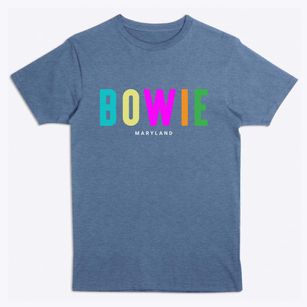 Bowie Maryland Color Pop Premium T-Shirt