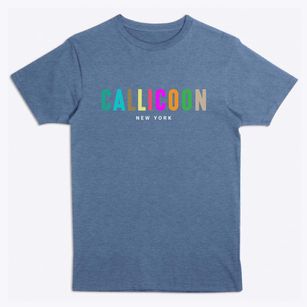 Callicoon New York Color Pop Premium T-Shirt
