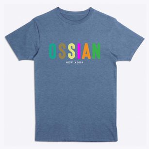 Ossian New York Color Pop Premium T-Shirt