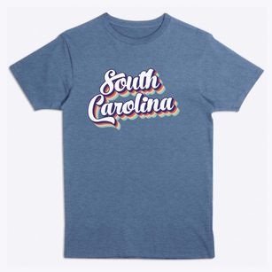  South Carolina Retro Candy Vibes Premium T-Shirt