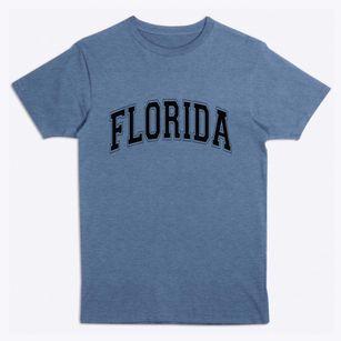  Florida Varsity State Premium T-Shirt