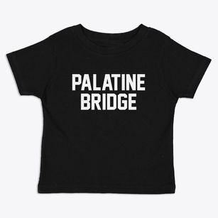 Palatine Bridge New York Classic Block Toddler T-Shirt