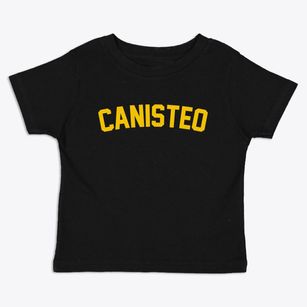 Canisteo New York Classic Curve Toddler T-Shirt
