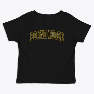 Pound Ridge New York Trendy Block Toddler T-Shirt