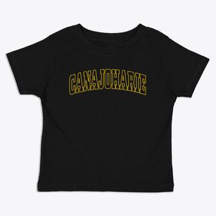 Canajoharie New York Trendy Block Toddler T-Shirt