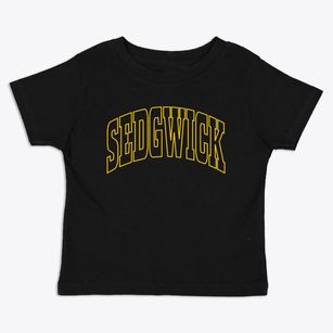 Sedgwick Arkansas Trendy Block Toddler T-Shirt