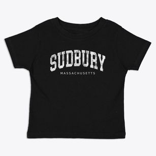 Sudbury Massachusetts Urban Vibe Toddler T-Shirt