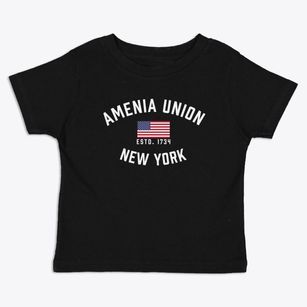 Amenia Union New York Patriot Toddler T-Shirt