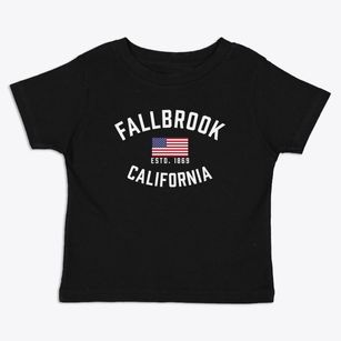 Fallbrook California Patriot Toddler T-Shirt