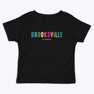 Brooksville Florida Color Pop Toddler T-Shirt