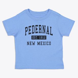Pedernal New Mexico Classic Established Toddler T-Shirt