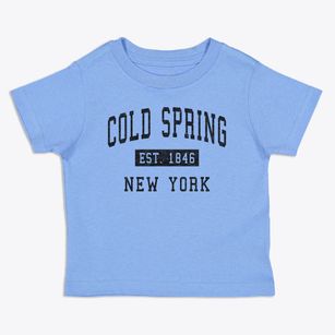 Cold Spring New York Classic Established Toddler T-Shirt