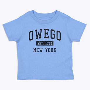 Owego New York Classic Established Toddler T-Shirt