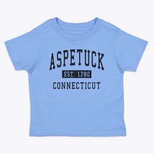 Aspetuck Connecticut Classic Established Toddler T-Shirt