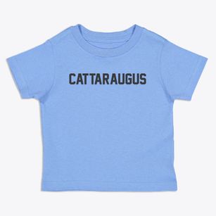 Cattaraugus New York Classic Block Toddler T-Shirt