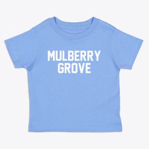 Mulberry Grove Illinois Classic Block Toddler T-Shirt