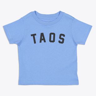 Taos New Mexico Classic Curve Toddler T-Shirt