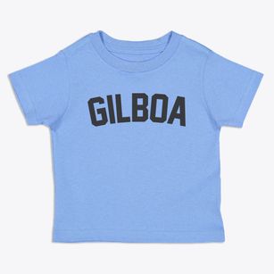 Gilboa New York Classic Curve Toddler T-Shirt