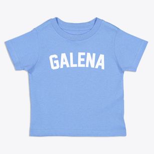 Galena Ohio Classic Curve Toddler T-Shirt