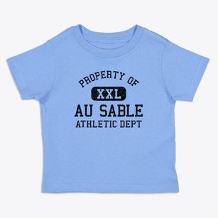Au Sable New York Athletic Dept Toddler T-Shirt
