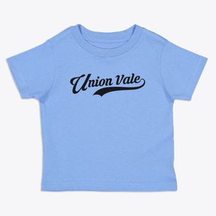 Union Vale New York Vintage Team Toddler T-Shirt
