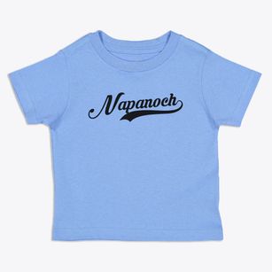 Napanoch New York Vintage Team Toddler T-Shirt