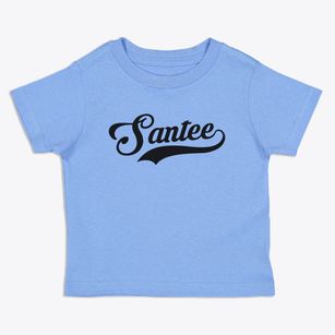Santee South Carolina Vintage Team Toddler T-Shirt