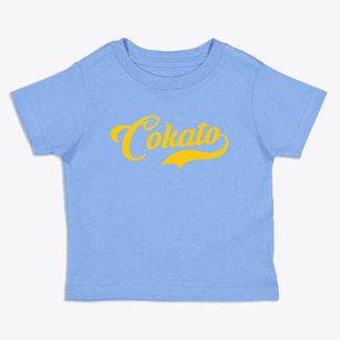 Cokato Minnesota Vintage Team Toddler T-Shirt