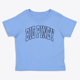 Big Piney Wyoming Trendy Block Toddler T-Shirt