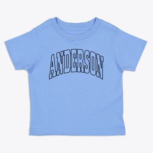 Anderson Alaska Trendy Block Toddler T-Shirt