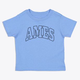 Ames New York Trendy Block Toddler T-Shirt