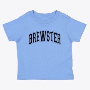 Brewster New York Varsity Toddler T-Shirt