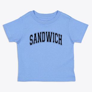 Sandwich New Hampshire Varsity Toddler T-Shirt