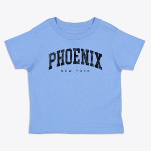 Phoenix New York Urban Vibe Toddler T-Shirt