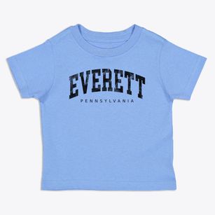 Everett Pennsylvania Urban Vibe Toddler T-Shirt